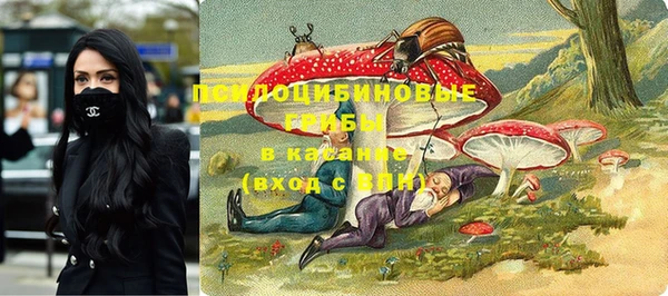 индика Алексеевка