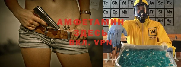 молекула духа Алзамай