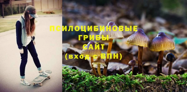 экстази Алексин