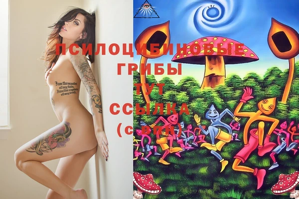 молекула духа Алзамай