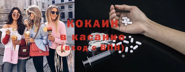 индика Алексеевка