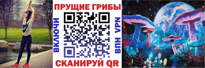 Галлюциногенные грибы мицелий  omg зеркало  Комсомольск 